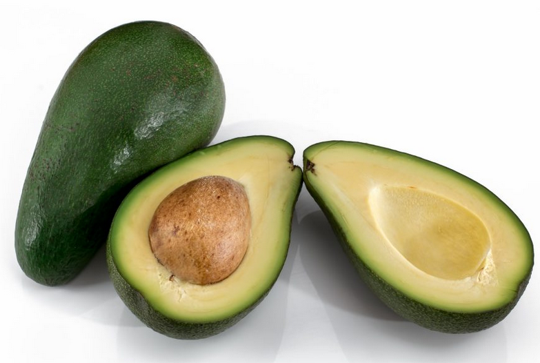 alpukat alpukat_aligator